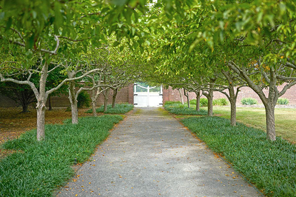 Walled Garden